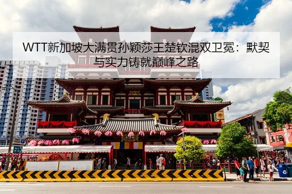 xin-jia-po-da-man-guan-sun-ying-sha-wang-chu-qin-hun-shuang-wei-mian-mo-qi-yu-shi-li-zhu-jiu-dian-feng-zhi-lu-3-841.jpg