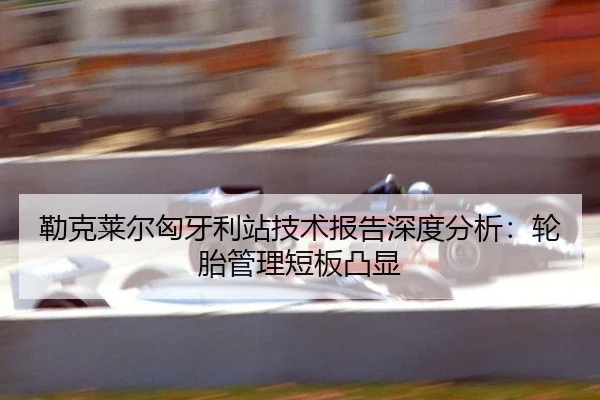 lei-ke-lai-er-xiong-ya-li-zhan-ji-shu-bao-gao-shen-du-fen-xi-lun-tai-guan-li-duan-ban-tu-xian-2-306.jpg